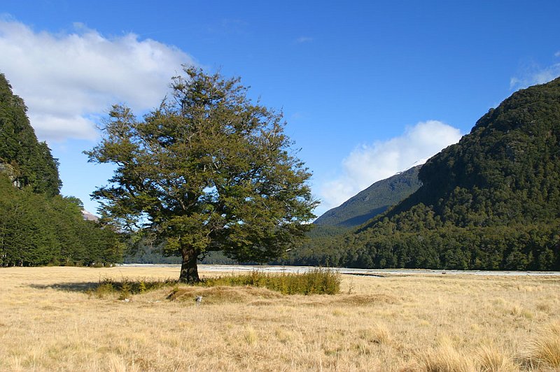 209_0937.jpg - Glenorchy, South Island, New Zealand