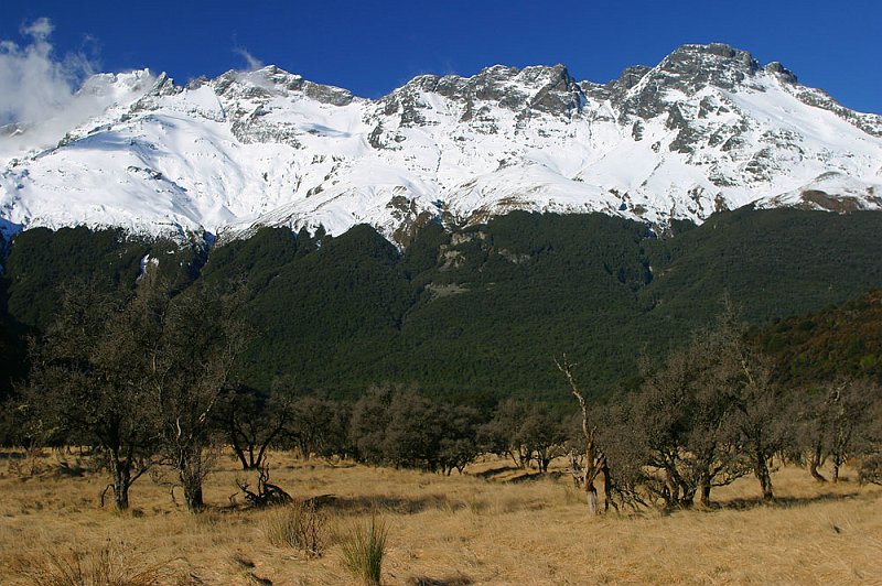 209_0959.jpg - Glenorchy, South Island, New Zealand