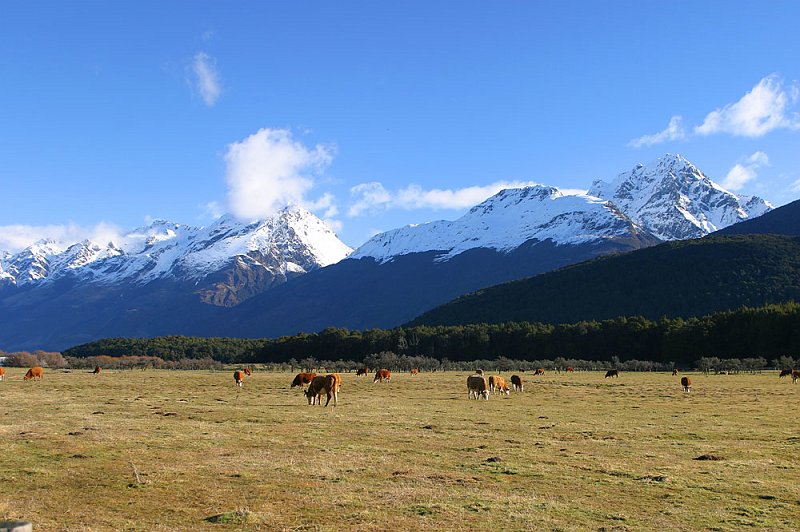 209_0960.jpg - Glenorchy, South Island, New Zealand