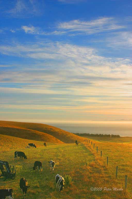 Kaikoura_01.jpg - Sunset in Kaikoura, South Island, New Zealand