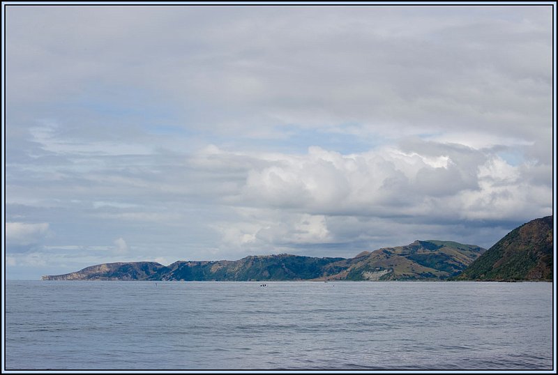 WV8X4866.jpg - Kaikora coast, South Island, New Zealand