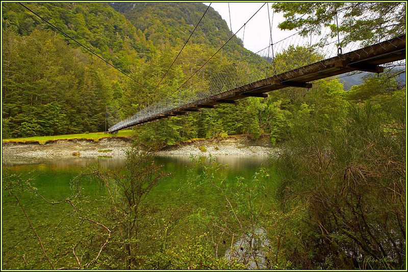 WV8X2673.jpg - Clinton River, Milford Track, Day 2, Fiordland National Park, New Zealand