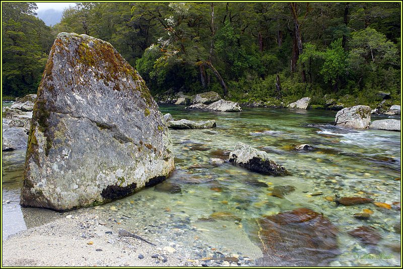 WV8X2717.jpg - Clinton River, Milford Track, Day 2, Fiordland National Park, New Zealand