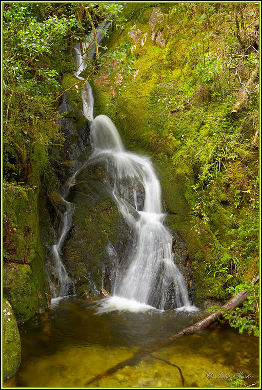 WV8X2787.jpg - Milford Track, Day 2, Fiordland National Park, New Zealand