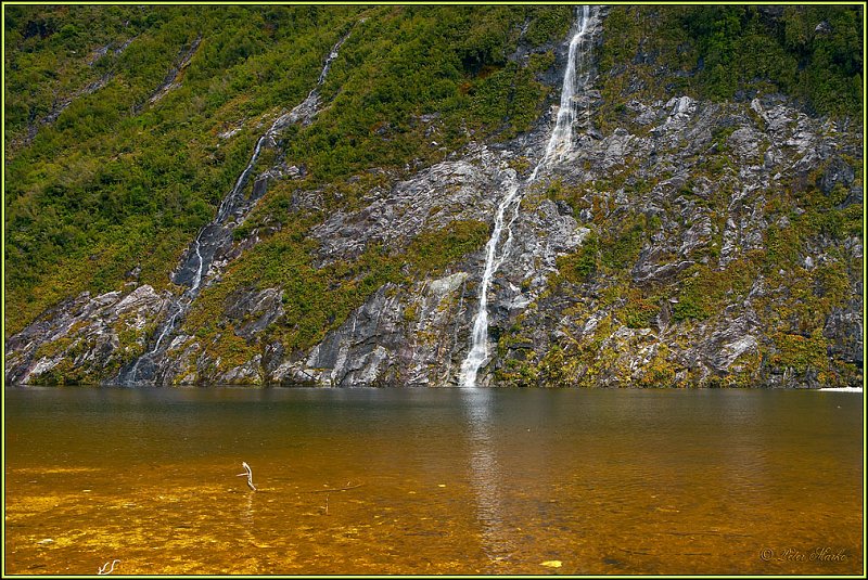 WV8X2793.jpg - Milford Track, Day 2, Fiordland National Park, New Zealand