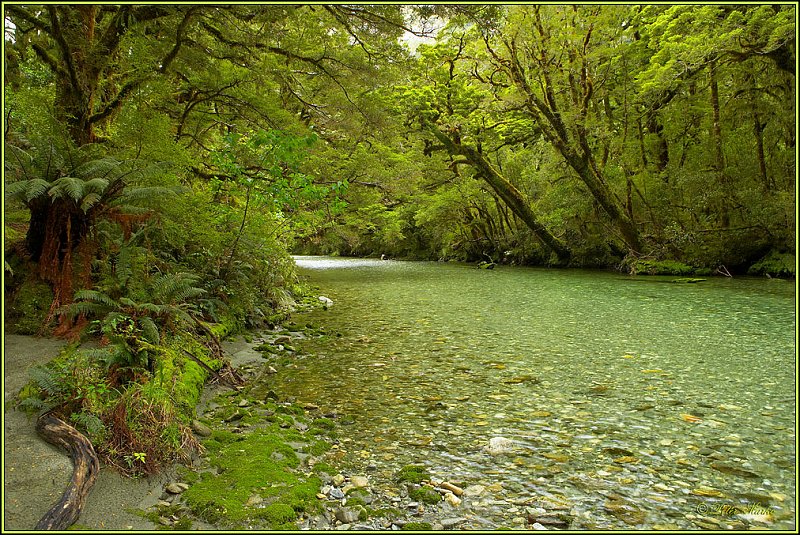 WV8X2818.jpg - Clinton River, Milford Track, Day 2, Fiordland National Park, New Zealand