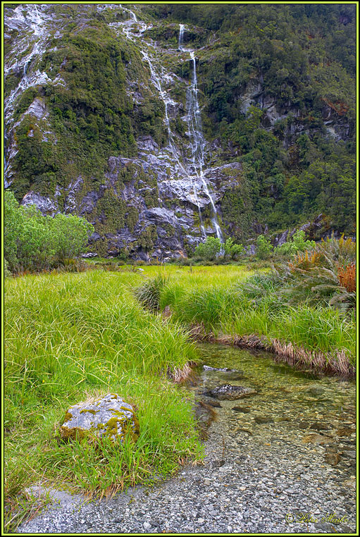 WV8X2826.jpg - Milford Track, Day 2, Fiordland National Park, New Zealand