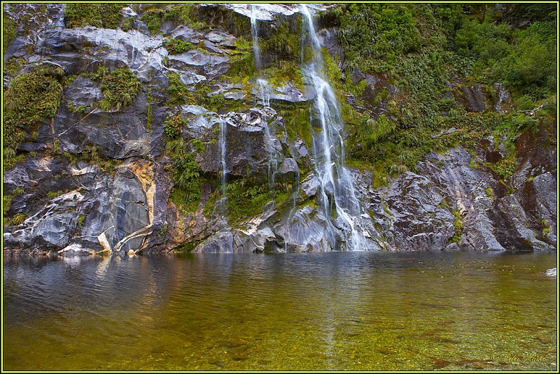 WV8X2828.jpg - Milford Track, Day 2, Fiordland National Park, New Zealand