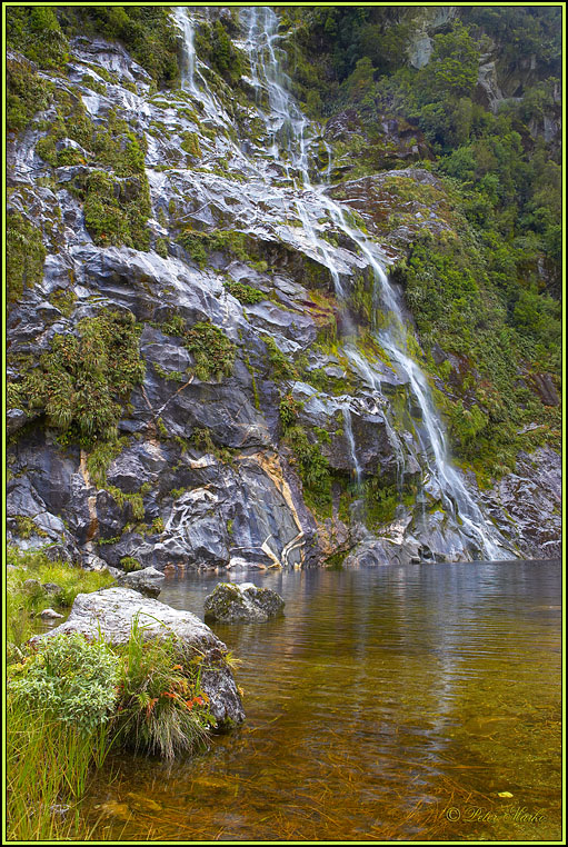 WV8X2836.jpg - Milford Track, Day 2, Fiordland National Park, New Zealand