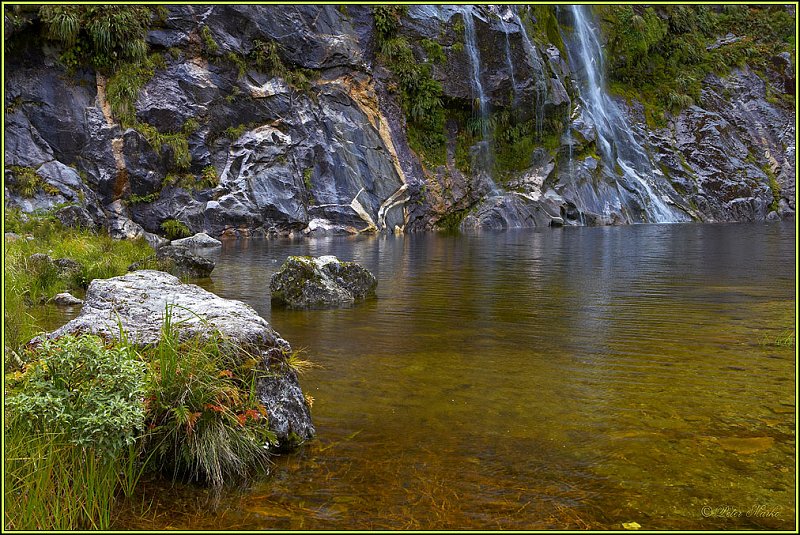 WV8X2838.jpg - Milford Track, Day 2, Fiordland National Park, New Zealand