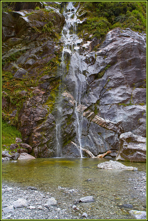 WV8X2841.jpg - Milford Track, Day 2, Fiordland National Park, New Zealand