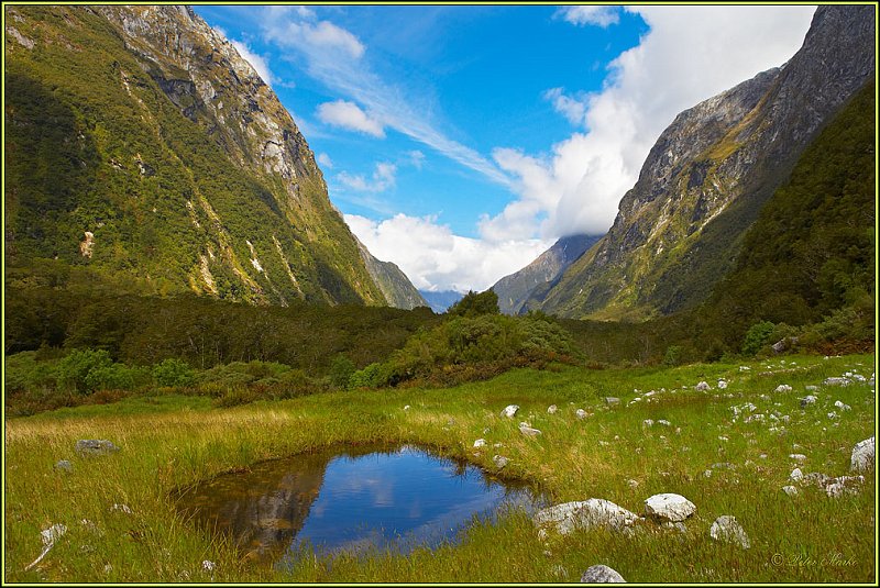 WV8X2849.jpg - Milford Track, Day 2, Fiordland National Park, New Zealand