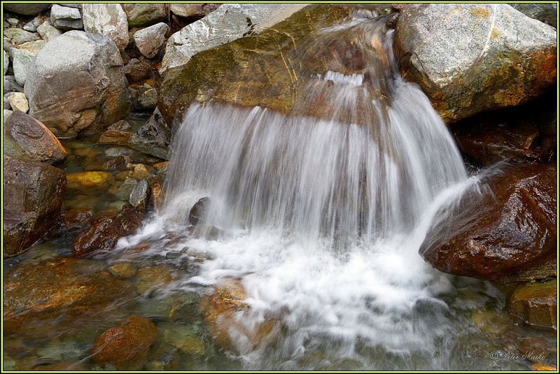 WV8X2871.jpg - Milford Track, Day 2, Fiordland National Park, New Zealand