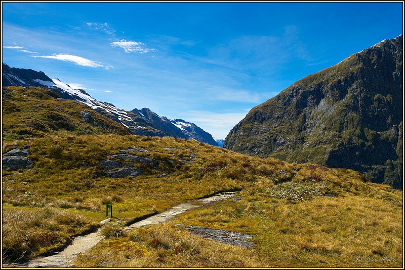 WV8X2916.jpg - Mackinnon Pass, Day 3 of Milford Track, Fiorland National Park, New Zealand