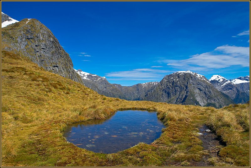 WV8X2917.jpg - Mackinnon Pass, Day 3 of Milford Track, Fiorland National Park, New Zealand