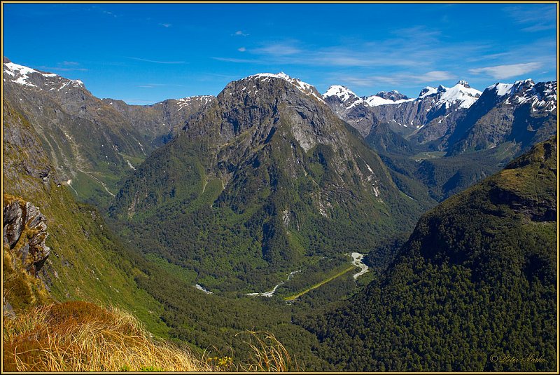 WV8X2927.jpg - Mackinnon Pass, Day 3 of Milford Track, Fiorland National Park, New Zealand