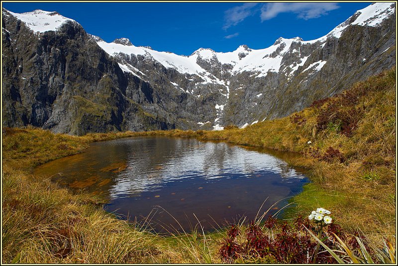 WV8X2945.jpg - MacKinnon Pass, Milford Track, Fiordland National Park, New Zealand