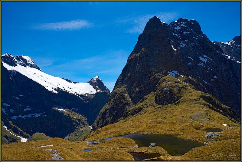 WV8X2960.jpg - Mackinnon Pass, Day 3 of Milford Track, Fiorland National Park, South Island, New Zealand