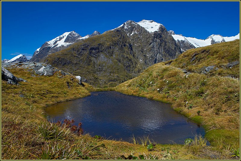 WV8X2976.jpg - Mackinnon Pass, Day 3 of Milford Track, Fiorland National Park, South Island, New Zealand