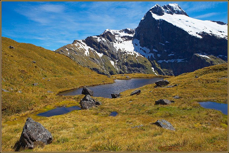 WV8X2977.jpg - Mackinnon Pass, Day 3 of Milford Track, Fiorland National Park, New Zealand