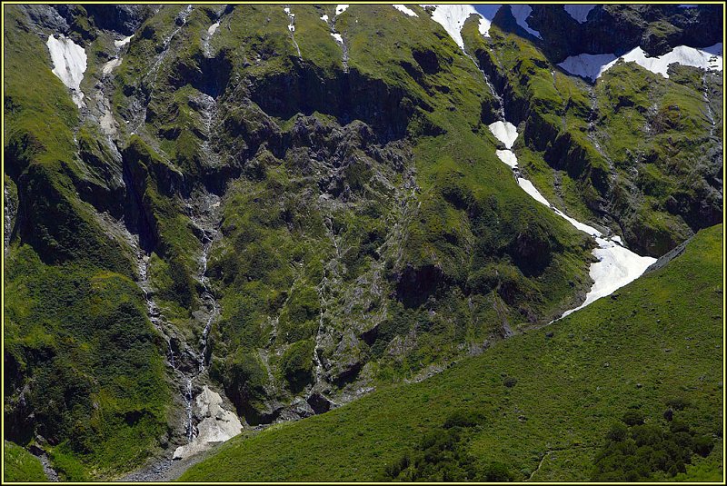 WV8X3032.jpg - Mackinnon Pass, Day 3 of Milford Track, Fiorland National Park, South Island, New Zealand