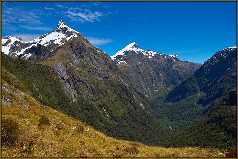 WV8X3035.jpg - Mackinnon Pass, Day 3 of Milford Track, Fiorland National Park, New Zealand