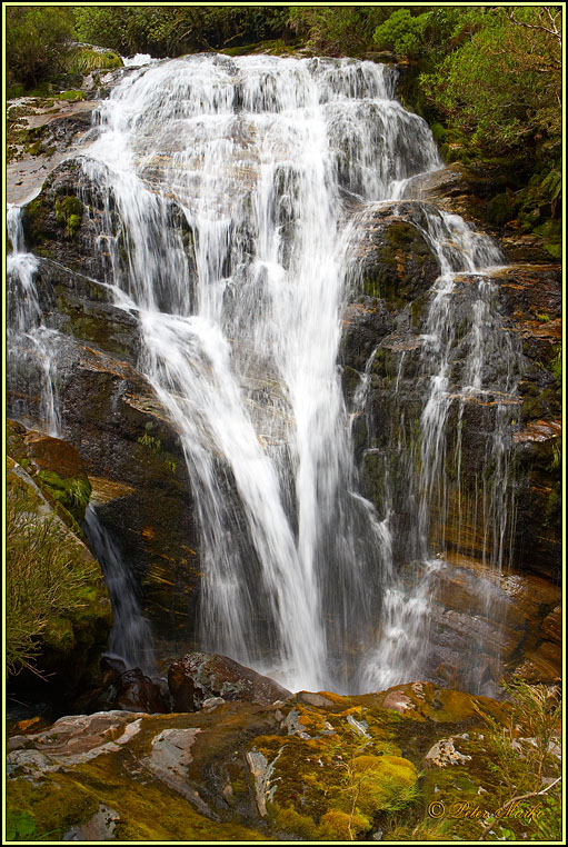 WV8X3045.jpg - Day 3 of Milford Track, Fiorland National Park, New Zealand