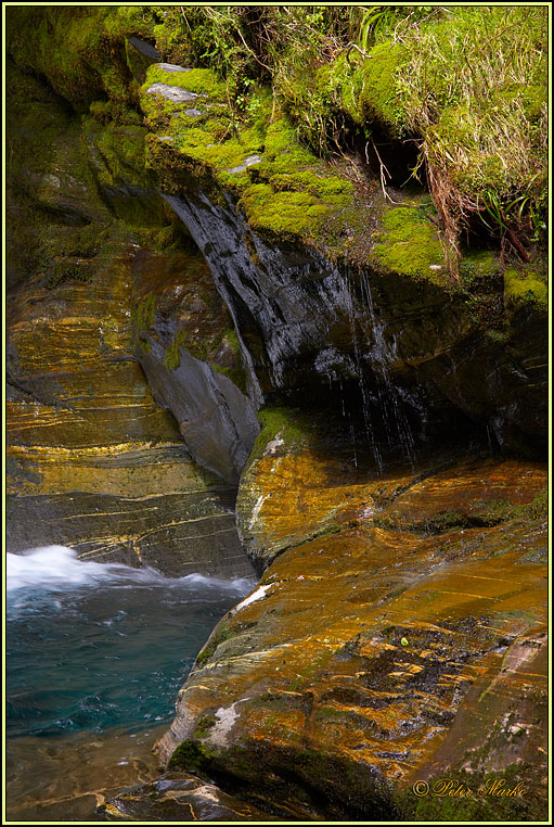 WV8X3060.jpg - Day 3 of Milford Track, Fiorland National Park, New Zealand