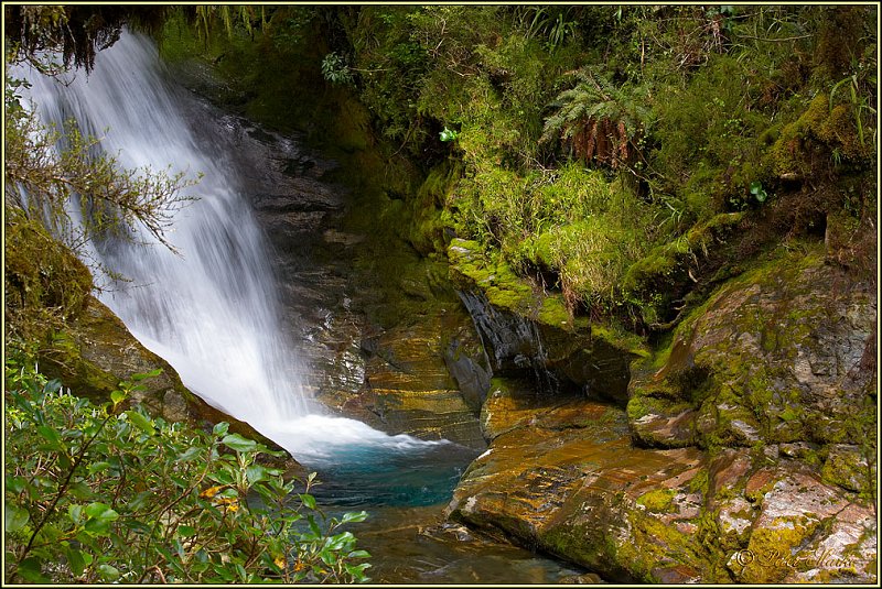 WV8X3069.jpg - Day 3 of Milford Track, Fiorland National Park, New Zealand