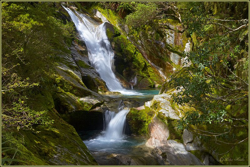 WV8X3103.jpg - Day 3 of Milford Track, Fiorland National Park, South Island, New Zealand