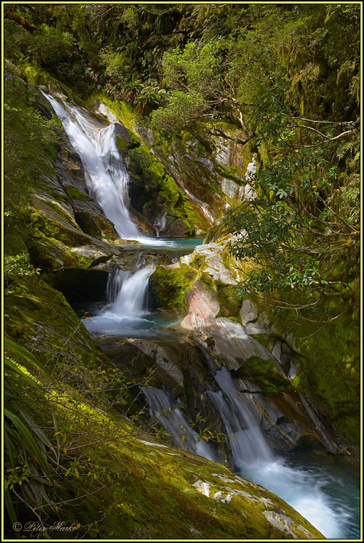 WV8X3105.jpg - Day 3 of Milford Track, Fiorland National Park, South Island, New Zealand