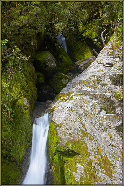 WV8X3108.jpg - Day 3 of Milford Track, Fiorland National Park, South Island, New Zealand