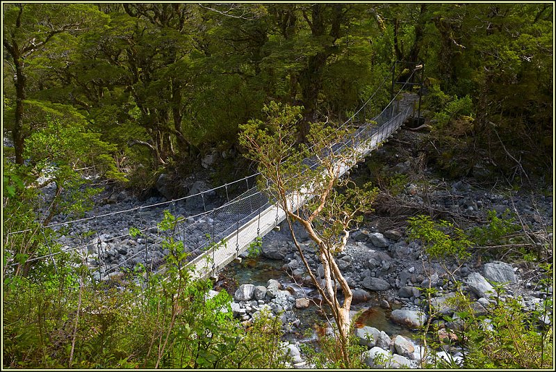 WV8X3110.jpg - Day 3 of Milford Track, Fiorland National Park, New Zealand