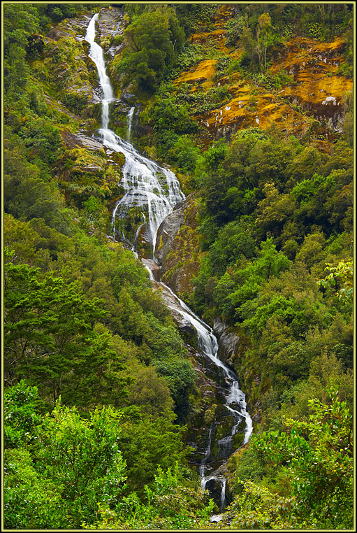 WV8X3142.jpg - Day 4 of Milford Track, Fiorland National Park, New Zealand