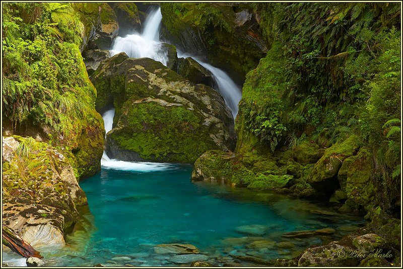 WV8X3165.jpg - MacKay Falls, Day 4 of Milford Track, Fiordland National Park, New Zealand