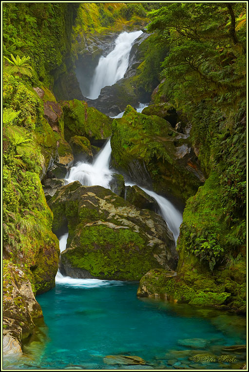 WV8X3173.jpg - MacKay Falls, Day 4 of Milford Track, Fiorland National Park, New Zealand