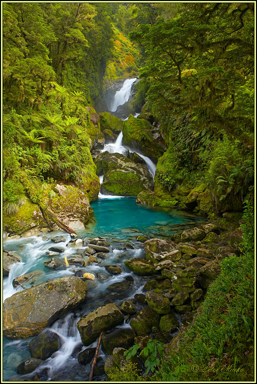 WV8X3176.jpg - MacKay Falls, Day 4 of Milford Track, Fiordland National Park, New Zealand