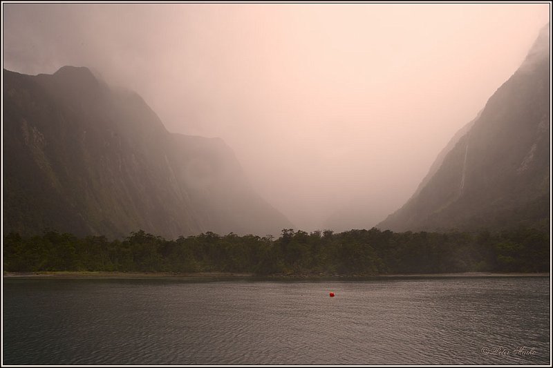 WV8X3333.jpg - Red buoy, Milford Sound, Fiorland National Park, New Zealand