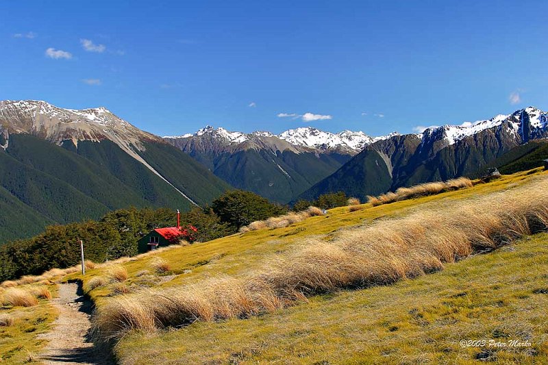 Nelson_Lakes_7.jpg - Nelson Lakes, South island, New Zealand