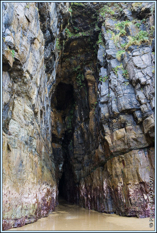 WV8X0033.jpg - Cathedral Caves, Catlins, South Island, New Zealand