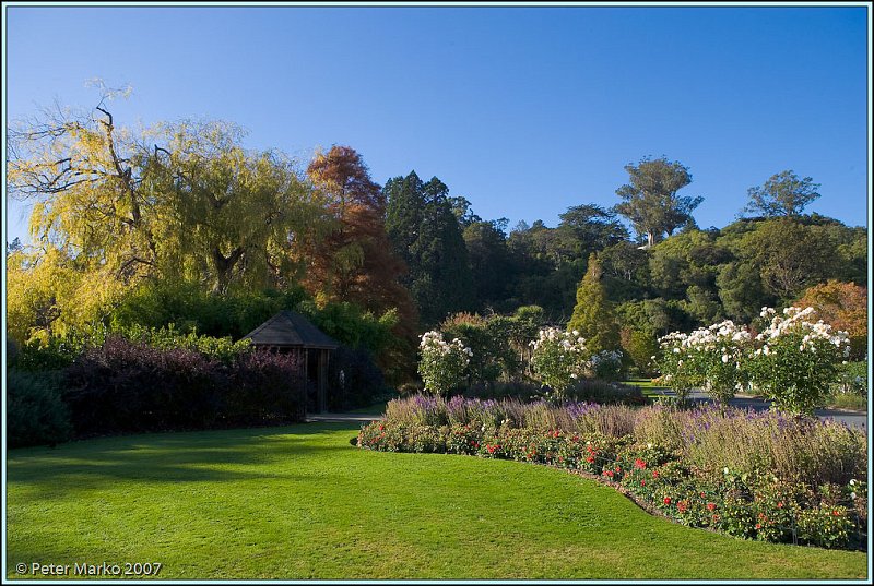 WV8X0721.jpg - Botanical Garden, Dunedin, South Island