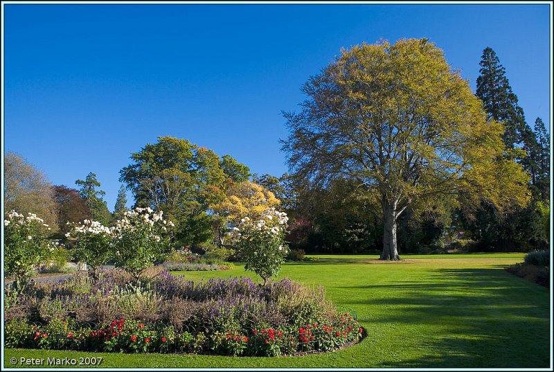 WV8X0726.jpg - Botanical Garden, Dunedin, South Island