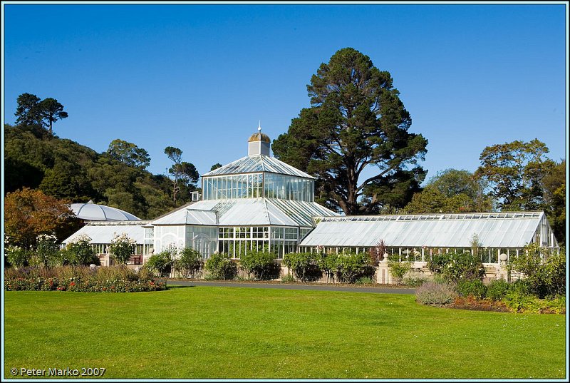 WV8X0751.jpg - Botanical Garden, Dunedin, South Island