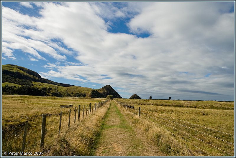 WV8X0214.jpg - Okia Reserve, Otago Peninsula, New Zealand