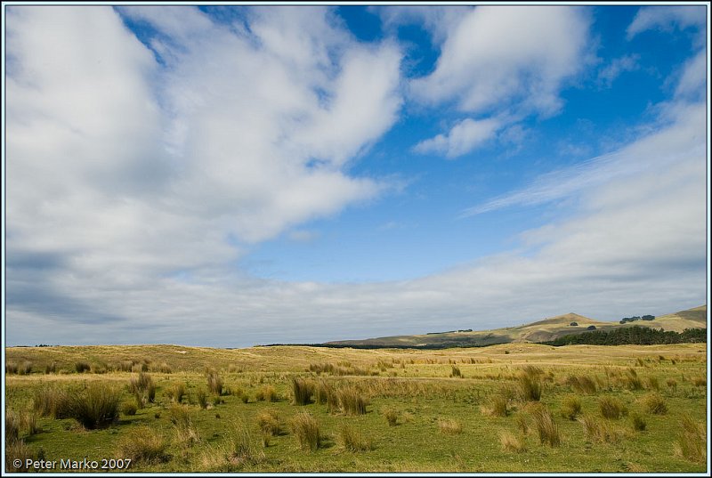 WV8X0215.jpg - Okia Reserve, Otago Peninsula, New Zealand