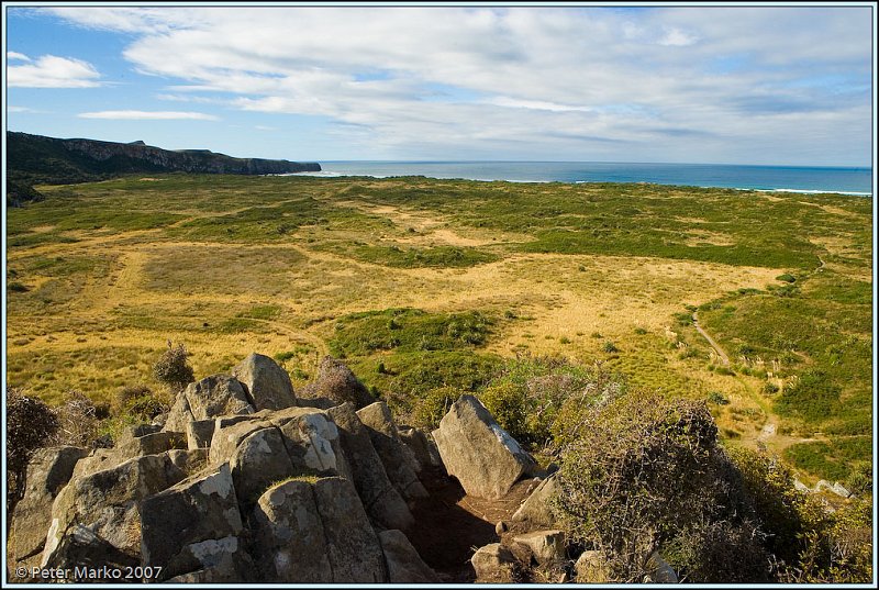 WV8X0228.jpg - Okia Reserve - view from The Little Pyramid, Otago Peninsula, New Zealand