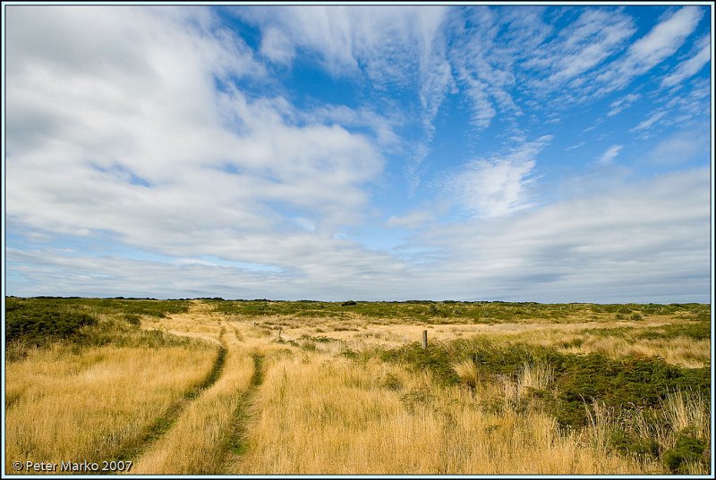 WV8X0231.jpg - Okia Reserve, Otago Peninsula, New Zealand