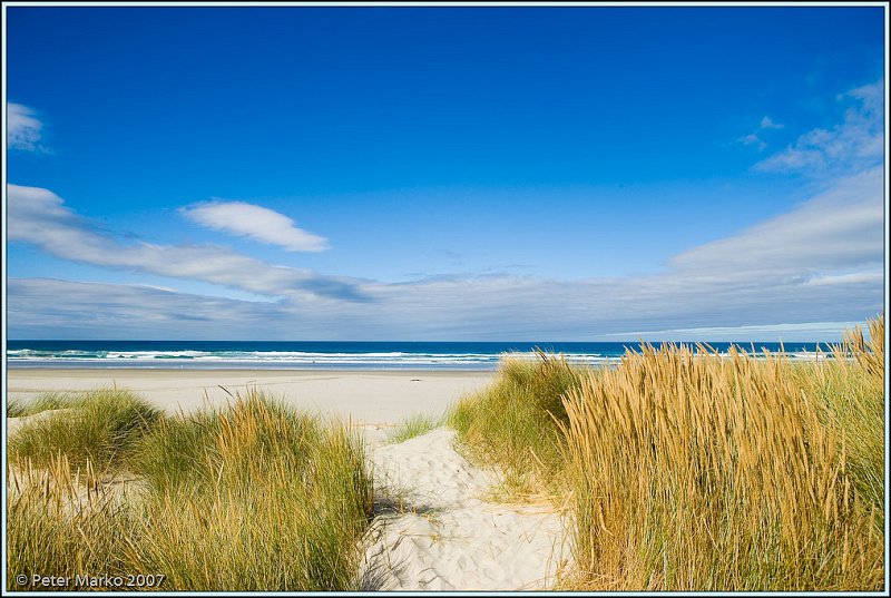 WV8X0242.jpg - Victory Beach, Okia Reserve, Otago Peninsula, New Zealand