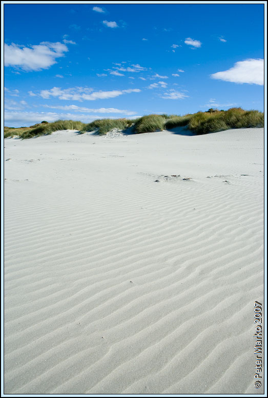 WV8X0258.jpg - Victory Beach, Okia Reserve, Otago Peninsula, New Zealand