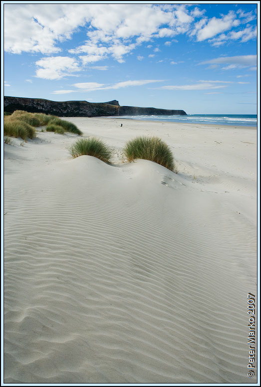 WV8X0316.jpg - Victory Beach, Okia Reserve, Otago Peninsula, New Zealand